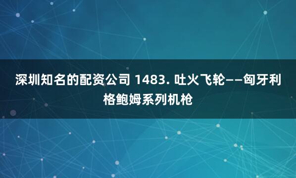 深圳知名的配资公司 1483. 吐火飞轮——匈牙利格鲍姆系列机枪