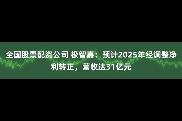 全国股票配资公司 极智嘉：预计2025年经调整净利转正，营收达31亿元